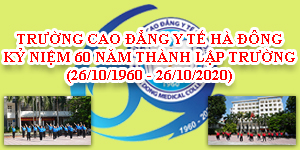 Y hà nội 2