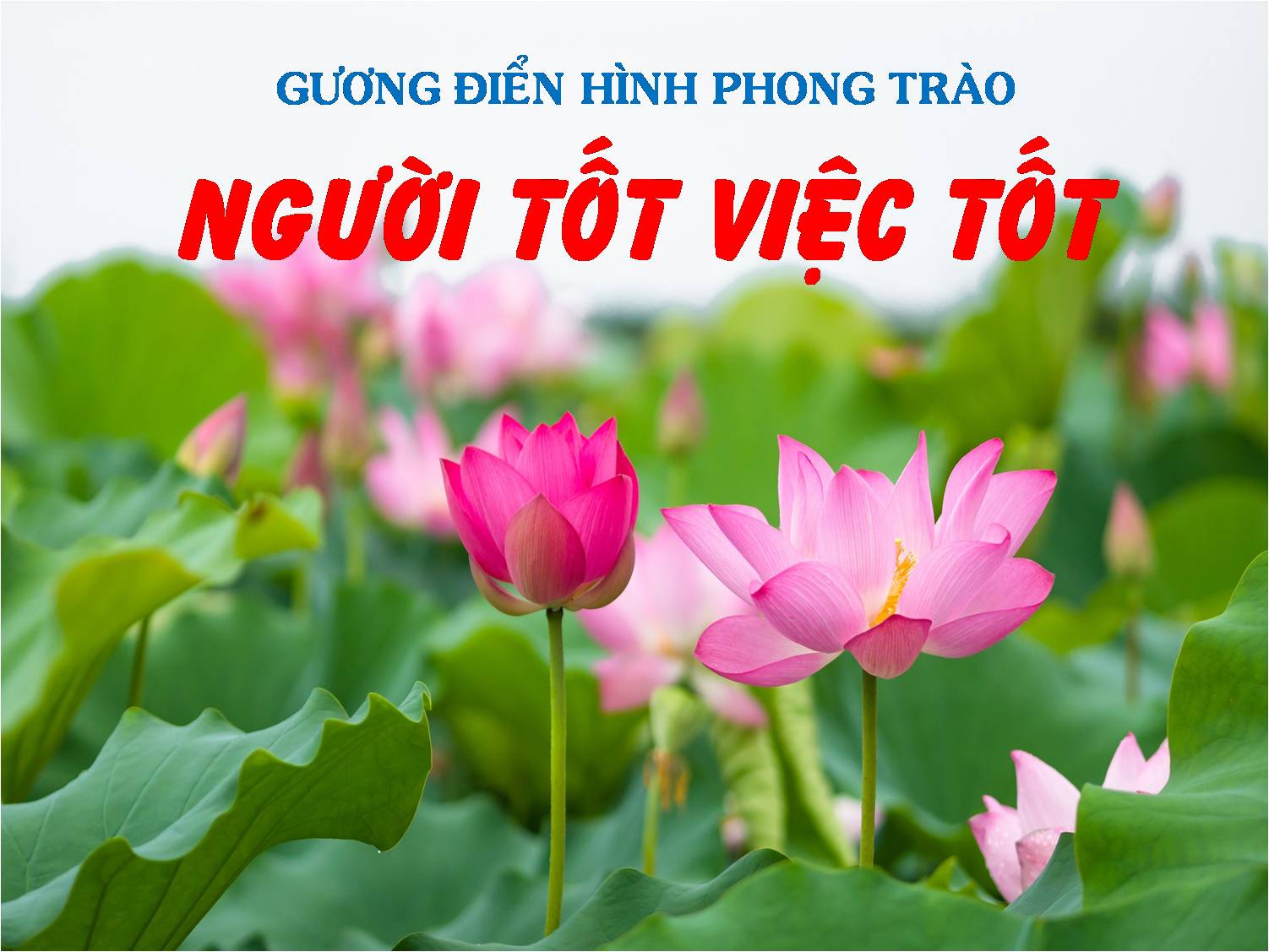 Giải Nhất Cuộc thi "Viết về Gương điển hình tiên tiến, người tốt việc tốt trong phong trào thi đua yêu nước của Trường Cao đẳng Y tế Hà Đông" năm 2024